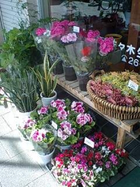 「佐々木生花店」　（鳥取県鳥取市）の花屋店舗写真3
